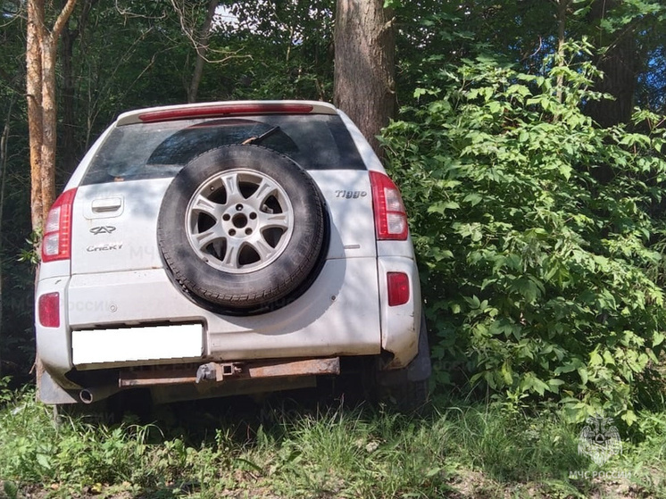 Chery вылетела в кювет под Боровском
