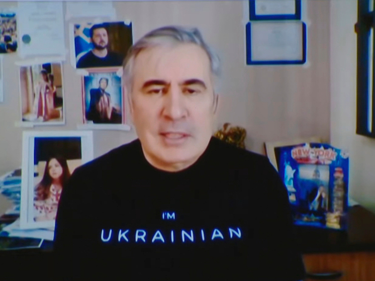 Приговоренный на родине к лишению свободы экс-президент Грузии Михаил Саакашвили с явной завистью отметил, что премьер Армении Никол Пашинян сделал то, чего не сделал он сам в период пребывания у власти: арестовал «армянского Иванишвили» – бизнесмена Самвела Карапетяна