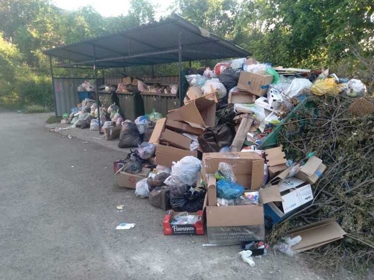 Тело женщины найдено на мусоросортировочном предприятии в Нижнем Тагиле