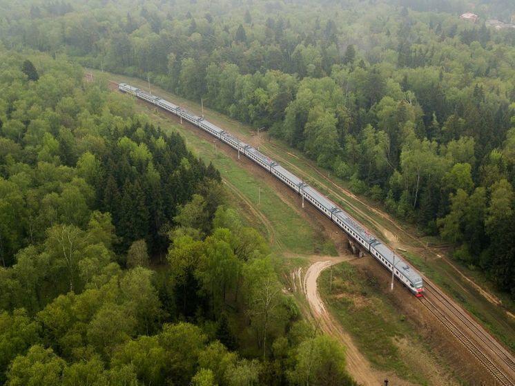 6,5 тысяч велосипедов перевезли бесплатно в период Ночного велофестиваля