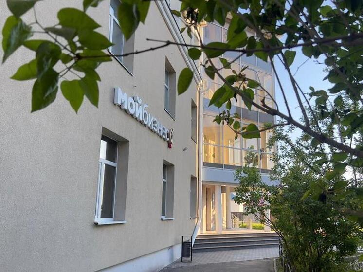 Более 816 млн рублей получили предприниматели Чувашии на развитие бизнеса за полгода