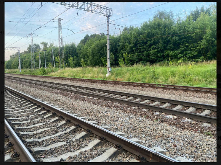 В Ярославской области пожилая дачница попала под поезд