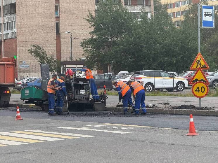В Петербурге ограничат движение на Сестрорецком путепроводе