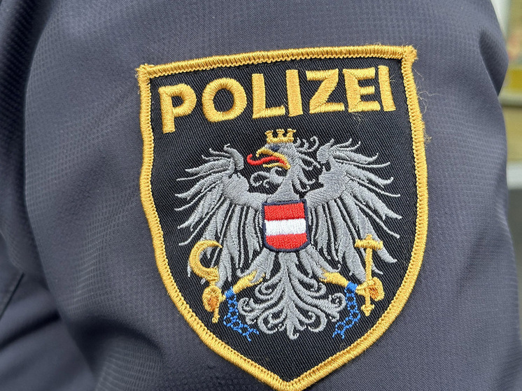 Акция «художника» с нацистским приветствием и мастурбацией вызвала скандал