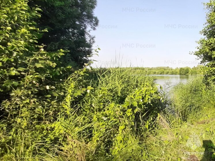 Пожилой мужчина утонул на Суре у Ядрина