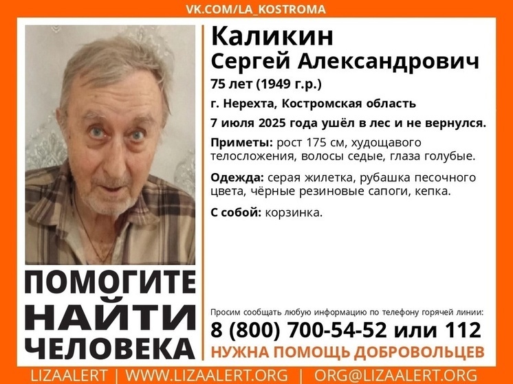 Остается неизвестной судьба пропавшего 7 июля костромского грибника
