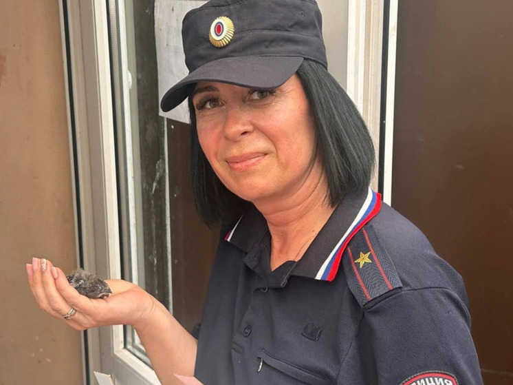 Балтийская полиция спасла птенца стрижа