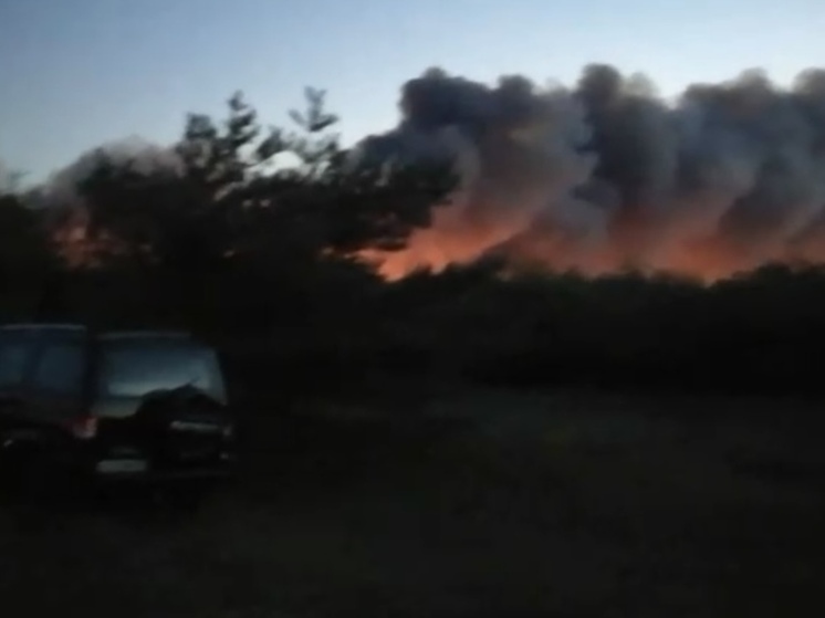 Пожар в лесничестве Каменского района Ростовской области тушат больше семи часов