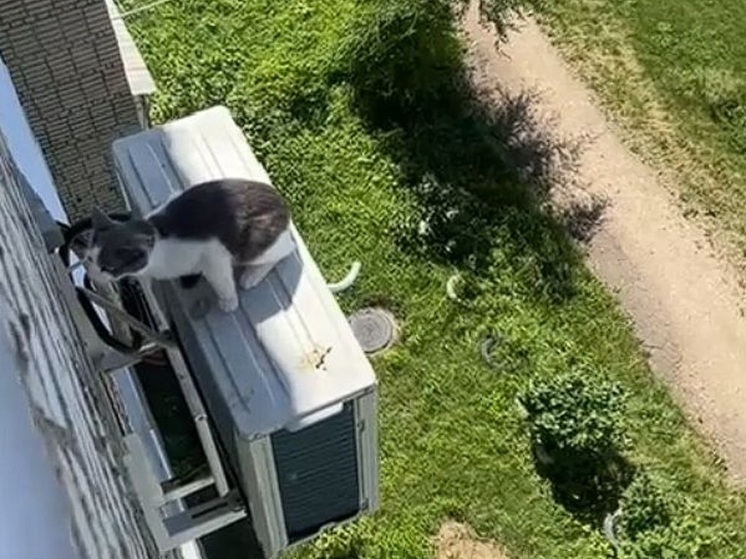 Дрожала от страха и звала на помощь