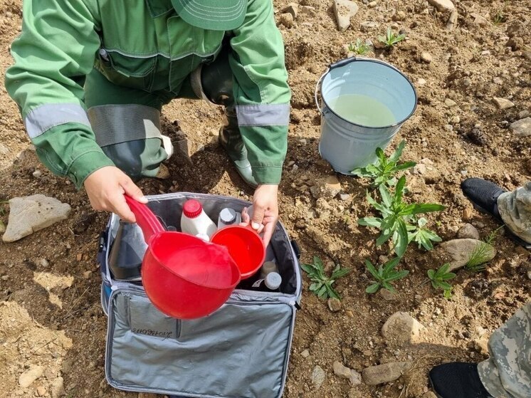 Опасные вещества нашли хакасские экологи в реке Каролиновке и безымянном ручье