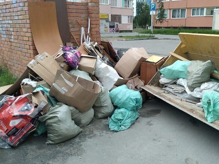 Почти 20 тонн строительного мусора нелегально свалили на контейнерные площадки жители Нового Уренгоя