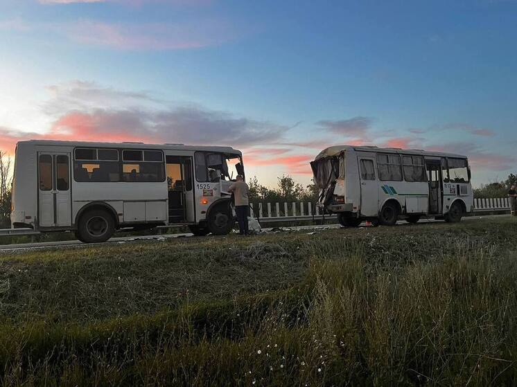 Два автобуса столкнулись под Оренбургом