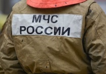 За прошедшие сутки в Курганской области произошло три пожара
