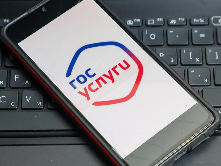 На "Госуслугах" появятся 35 новых сервисов