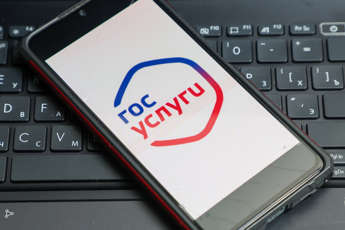 На "Госуслугах" появятся 35 новых сервисов