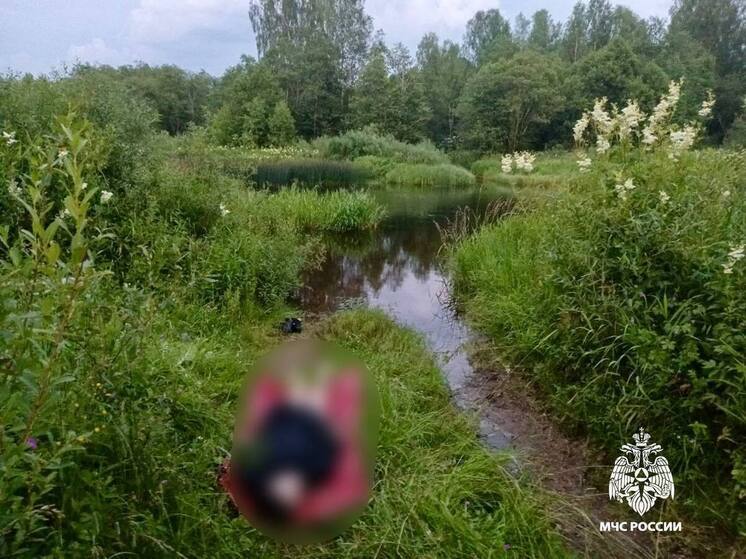 В Тверской области из реки достали труп девушки