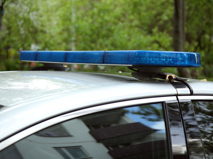 Irina Volk: There is only one reason why a police officer can call a citizen