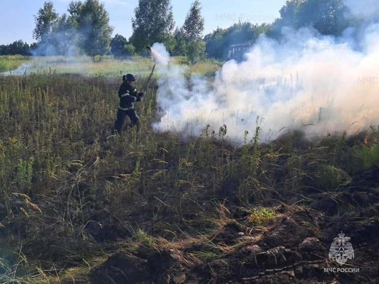 На Орловщине зарегистрирован 3 класс пожарной опасности