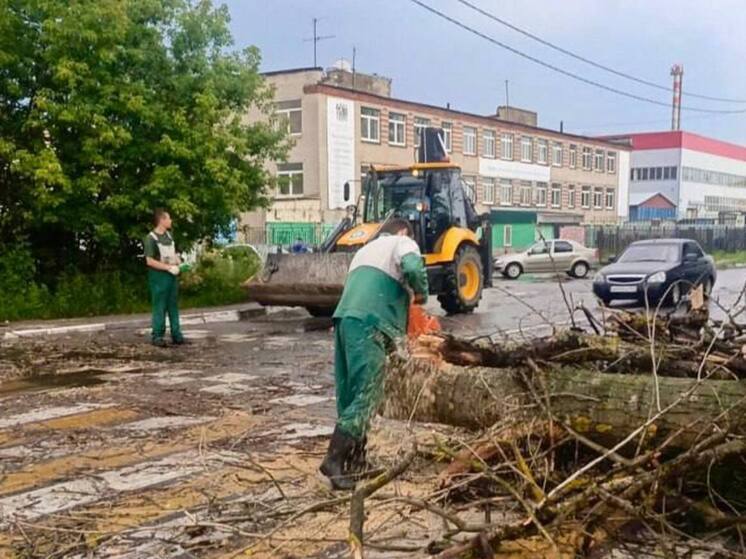 Непогода вновь затронула северо-запад и север Подмосковья