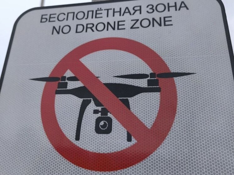 В Пензенской области силы ПВО уничтожили беспилотник