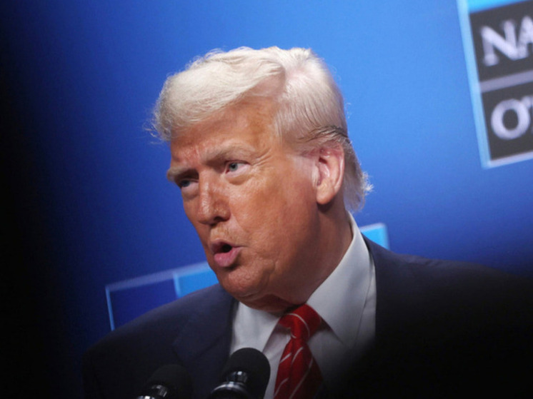 FAZ: ужесточение риторики Трампа не впечатлило Москву