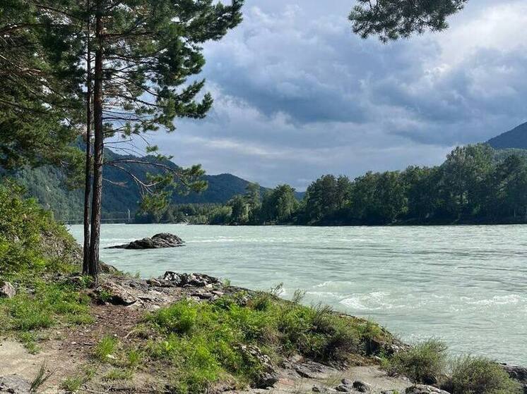 В Горном Алтае туристов унесло течением в реке Катунь