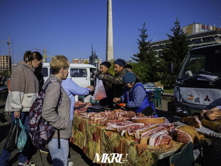 Мясо и корма для животных могут сильно подорожать к осени в Забайкалье