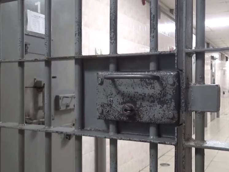 Двух 13-летних школьниц изнасиловал пожилой узбек в Подмосковье