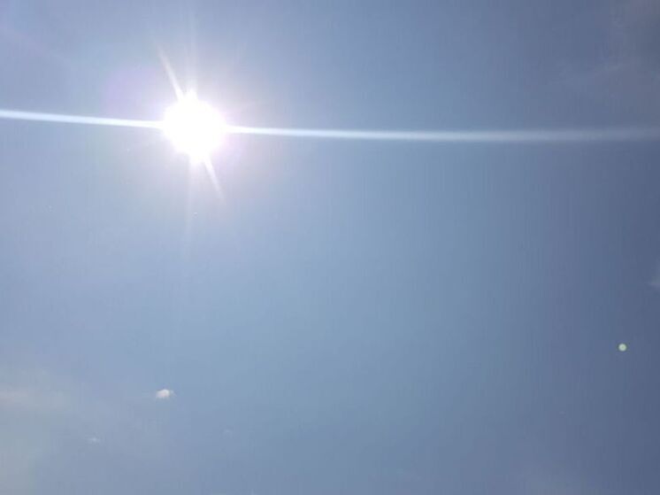 В Подмосковье сегодня воздух прогреется до +35°