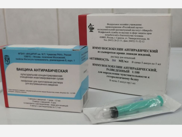 Статистика укусов животных в Югре: тревожные цифры и меры профилактики
