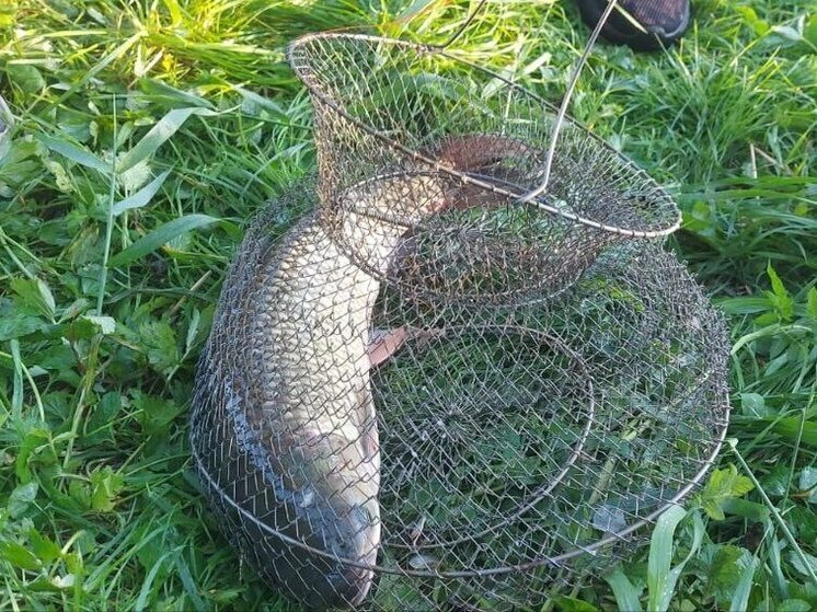 На озере в Ессентуках борются с рыбаками