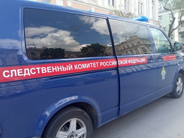 В Ростове задержали женщину, выбросившую новорожденного ребенка в мусорный жбан
