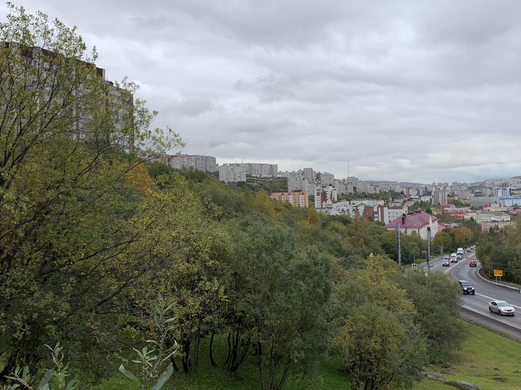 Мурманские проекты вошли в число лучших на конкурсе социальных и бизнес-идей страны