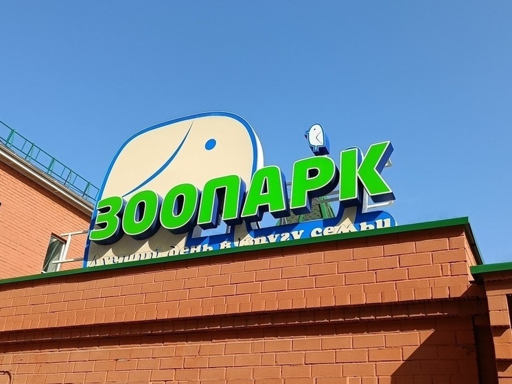 В екатеринбургском зоопарке проходит День капибары