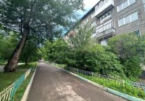 Об этом рассказали в Следственном Комитете по Красноярскому краю