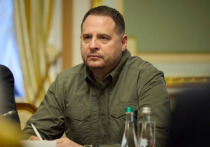 Руководитель Офиса Владимира Зеленского Андрей Ермак рассматривает замену главы киевского режима на должности