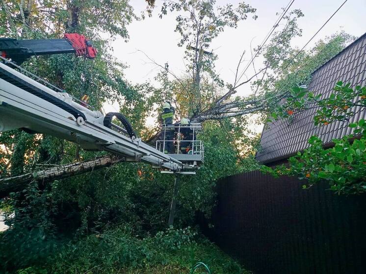 В Подмосковье специалисты устраняют последствия ненастья
