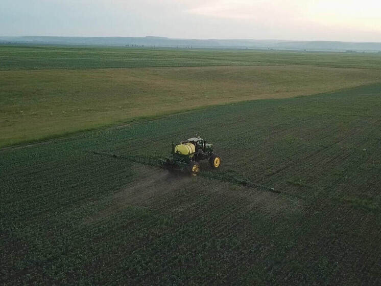 В Иркутской области обработано почти 380 тысяч гектаров посевов