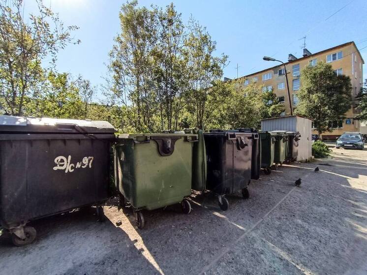 Новые контейнеры для мусора появятся в городах Мурманской области