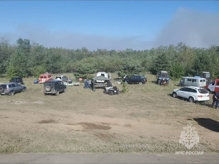 В Каменском районе не будут использовать авиацию для тушения лесного пожара