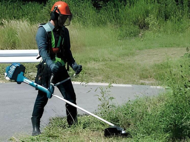 В Прикубанском округе Краснодара выкосили более 770 гектаров сорной растительности