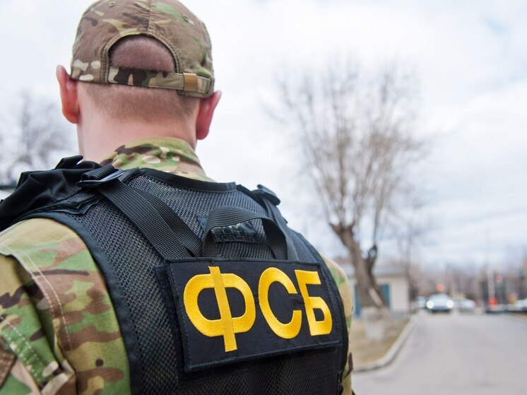 С начала года УФСБ пресекли 178 случаев нарушения защиты гостайны