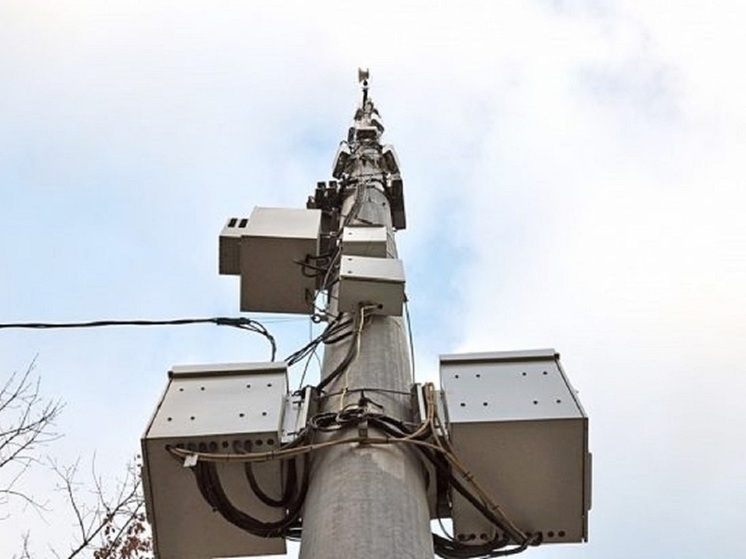 Операторы связи просят Дениса Паслера помочь урегулировать спор с ПАО «Россети Урала»