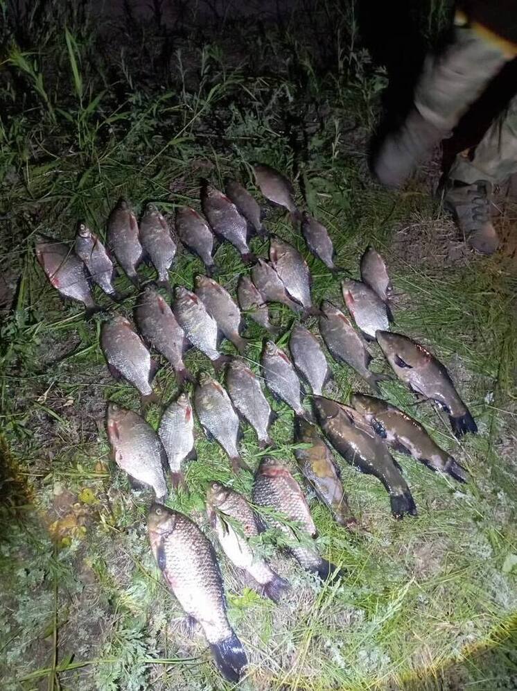 Житель Ядринского района предстанет перед судом за незаконный лов рыбы