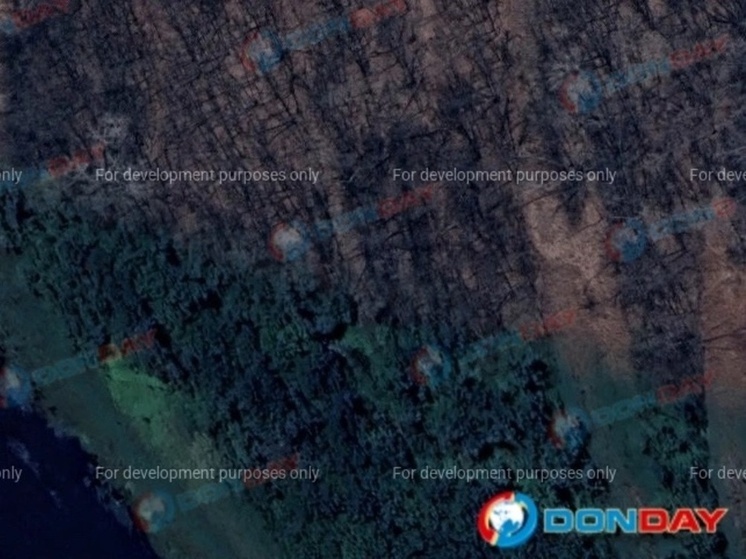 Спутники из космоса засняли ландшафтные пожары в Ростовской области