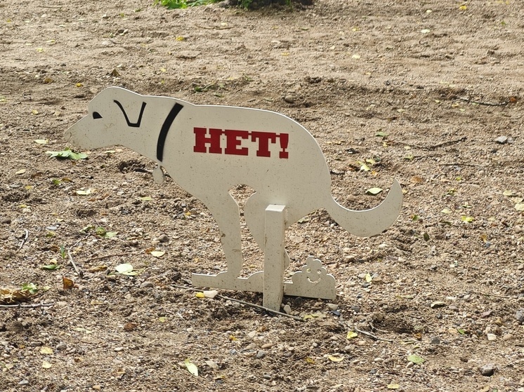 Более 411 тысяч рублей заплатили жители Вологодчины за несоблюдение правил содержания домашних животных
