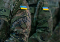 Заградотряд ВСУ «Волки да Винчи» (бывший «Правый сектор»*, признанный в РФ террористическим и запрещенный) переброшен на Сумское направление, пишет ТАСС, ссылаясь на российские силовые структуры