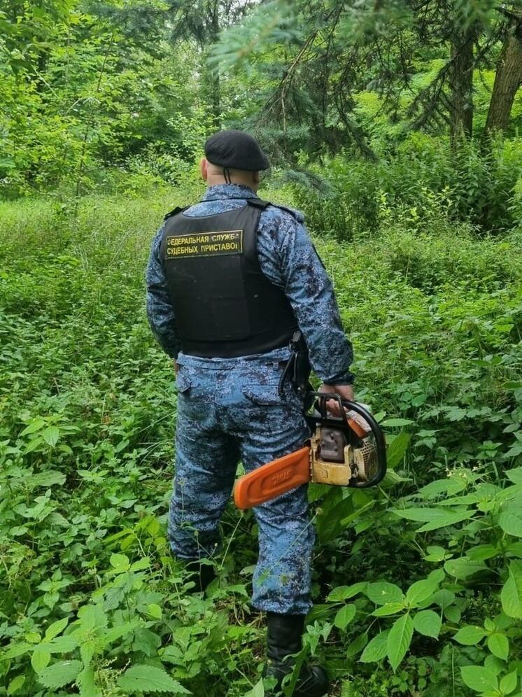 Лесной разбойник лишился «помощника»: судебные приставы конфисковали бензопилу у нарушителя