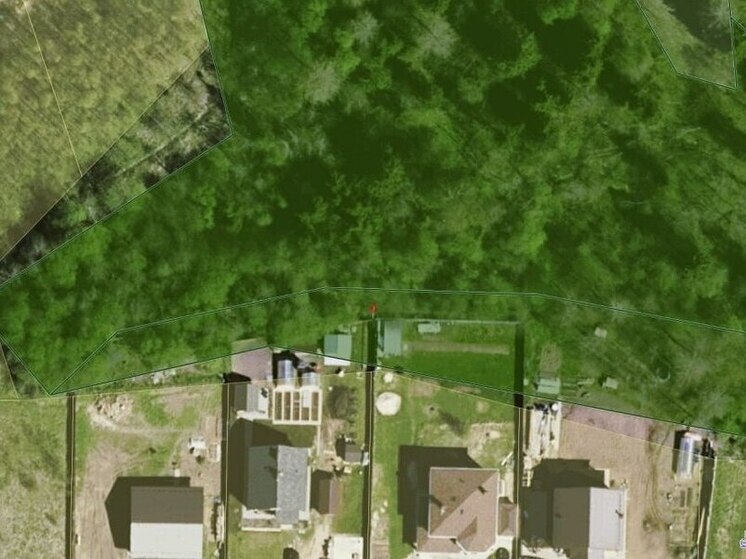 400 фактов самозахвата участков леса обнаружили благодаря аэрофотосъемки