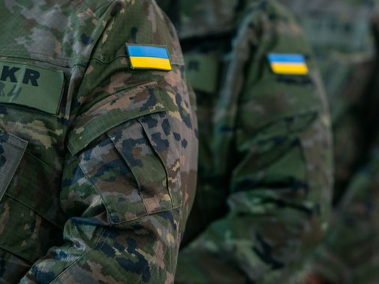 ВСУ перебросили на Сумское направление заградотряд «Волки да Винчи»